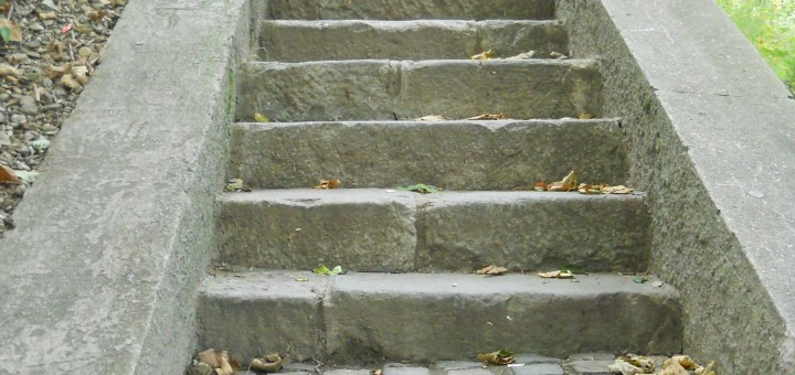 New Image